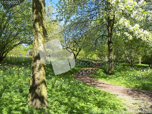 Image of Garden in spring