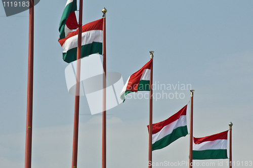 Image of HUngarian flags