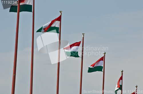 Image of HUngarian flags