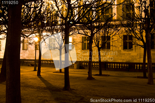 Image of Alone