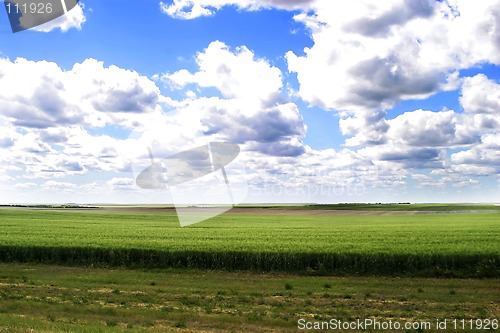 Image of Prairie Landscape