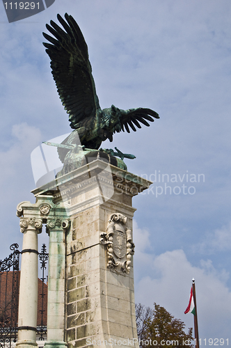 Image of Hungarian vulture