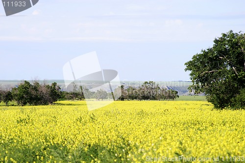 Image of Prairie Landscape