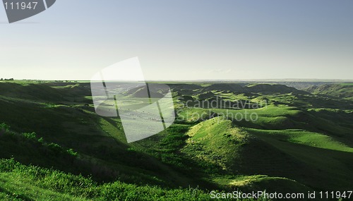 Image of Cattle Round Up