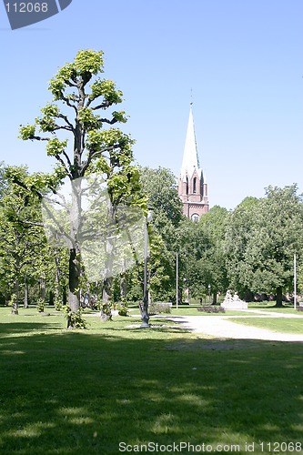 Image of heavily pruned tree