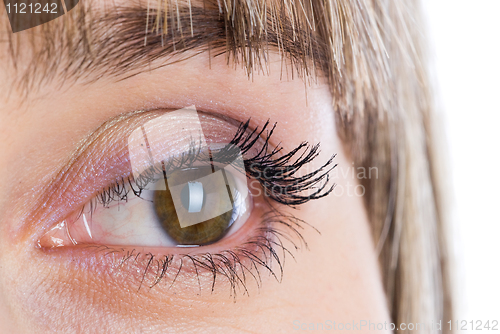 Image of Woman eye