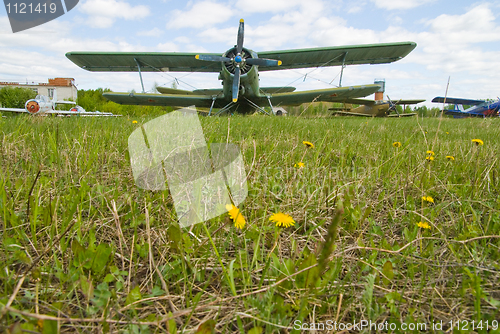 Image of Airplane on dandelion field