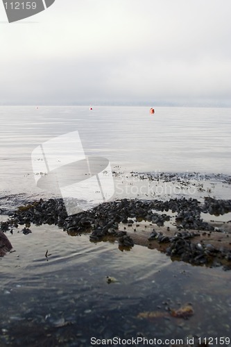 Image of Fjord Coast