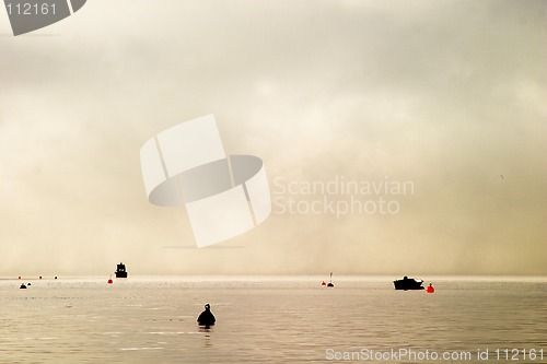 Image of Buoy in the Fog