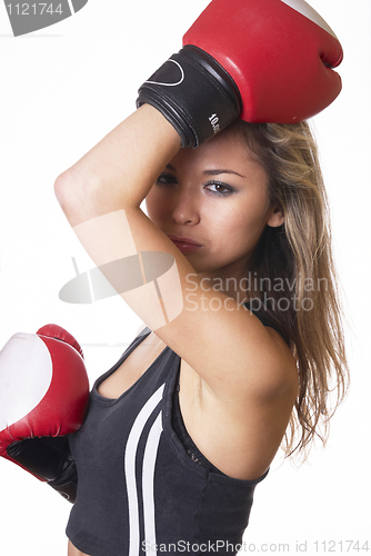 Image of Boxer woman