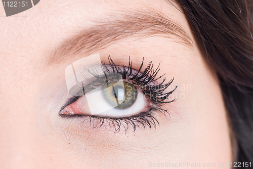 Image of Woman eye