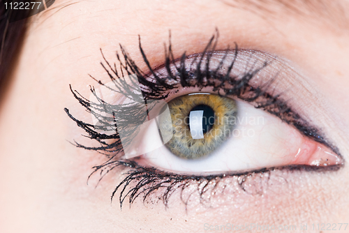 Image of Woman eye
