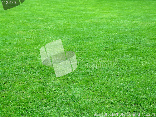 Image of Football field grass