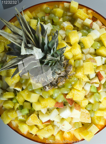 Image of Salad on plate
