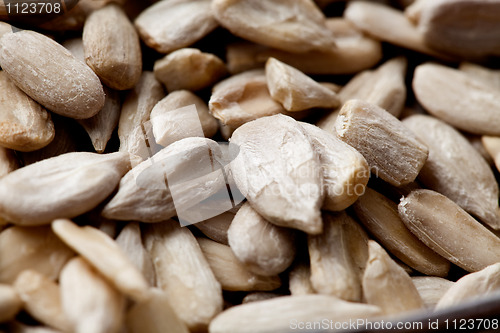 Image of Sunflower seeds