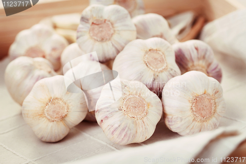 Image of garlic