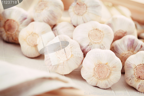 Image of garlic