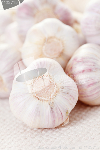 Image of garlic