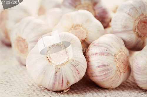 Image of garlic