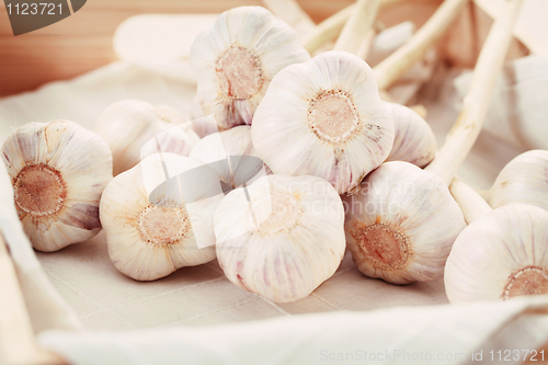 Image of garlic