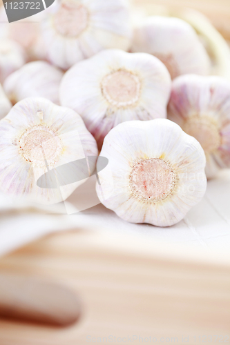 Image of garlic