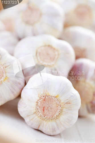 Image of garlic