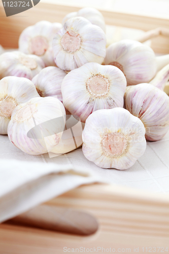 Image of garlic