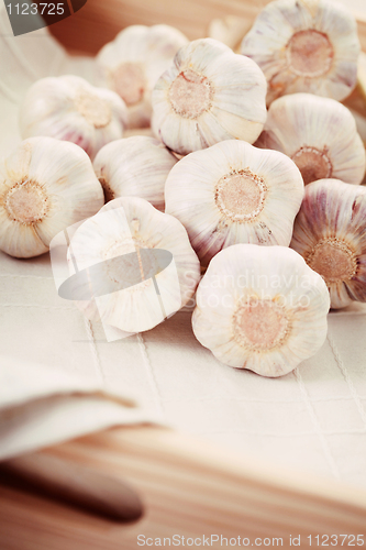 Image of garlic