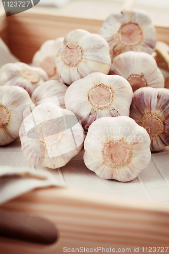 Image of garlic