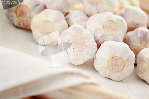 Image of garlic