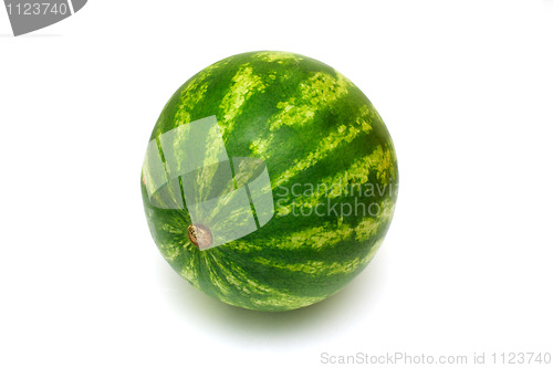 Image of  fresh water melon