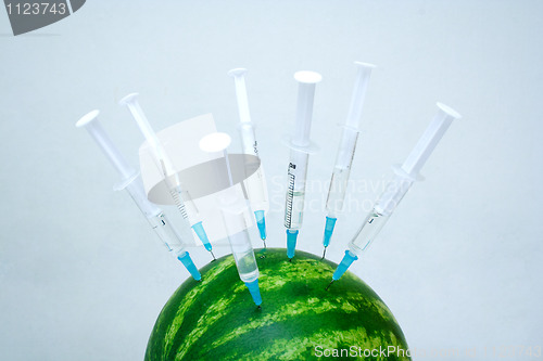 Image of water melon with a hypodermic syringes