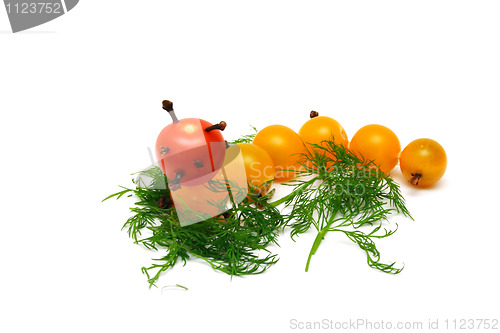 Image of tomato caterpillar with a fennel