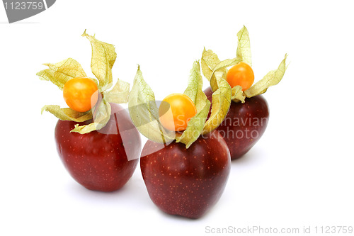 Image of Physalis and fresh red apples