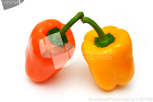 Image of fresh colourful paprika