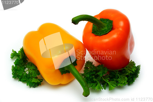 Image of fresh colourful paprika with parsley