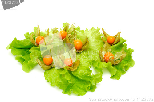 Image of Physalis and salad