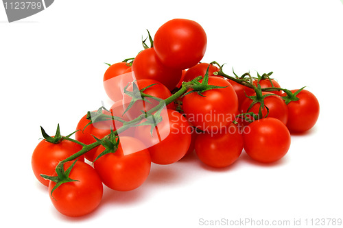 Image of fresh red vine tomatoes