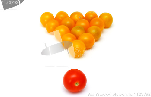 Image of yellow fresh tomatoes as a snooker