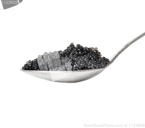 Image of Black caviar in spoon isolated on white