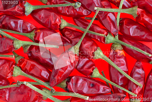 Image of Red chilli peppers