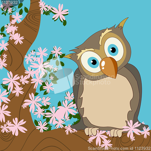 Image of Cute owl