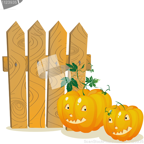 Image of Pumpkins