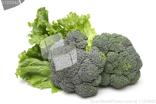 Image of Broccoli and salad