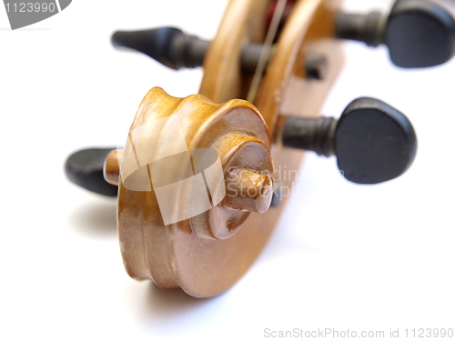 Image of Violin Scroll