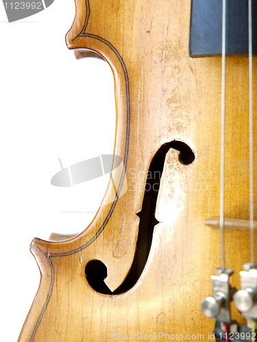 Image of Violin