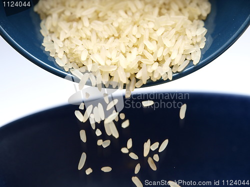 Image of Rice