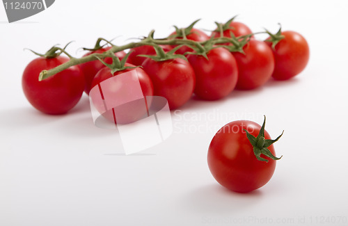 Image of ripe cherry tomatoes on a branch