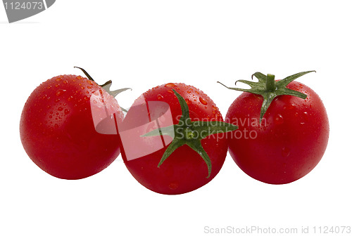 Image of ripe cherry tomatoes 