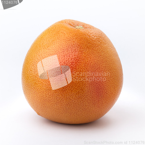Image of Big Grapefruit